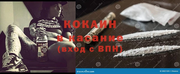 стаф Зерноград