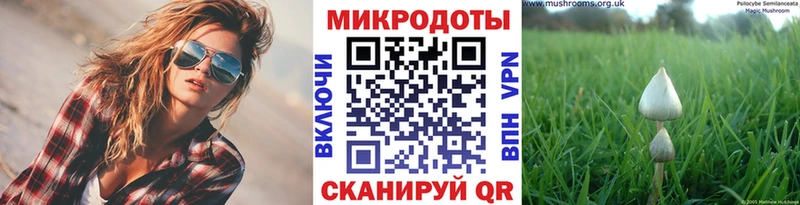 ссылка на мегу   дарк нет какой сайт  Псилоцибиновые грибы MAGIC MUSHROOMS  Щёлково 